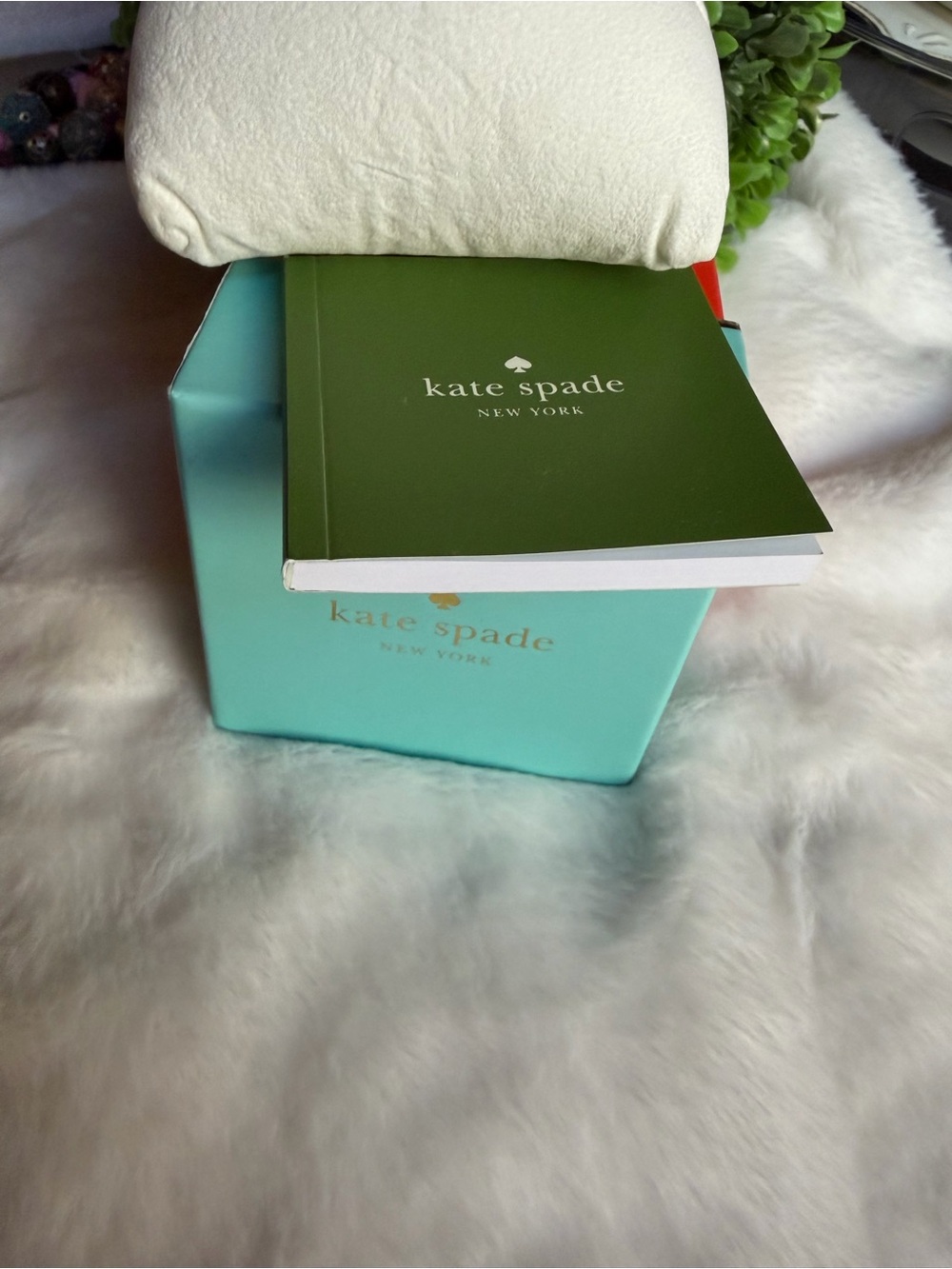 kate spade turquoise box with green booklet